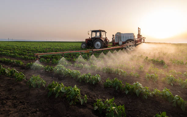 Best Best Pest Control Companies  in Premont, TX