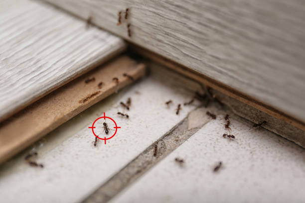 Pest Control for Restaurants in Premont, TX
