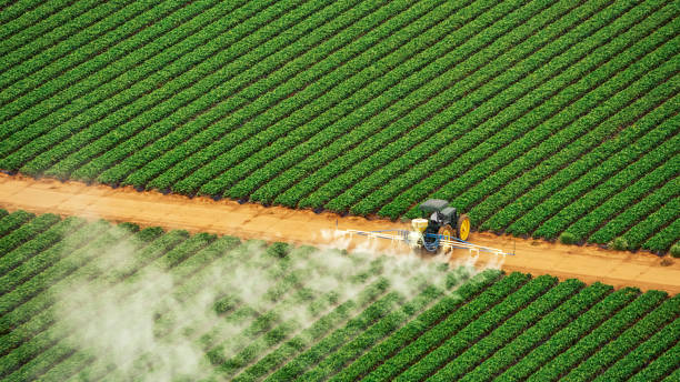 Best Pest Inspection Near Me  in Premont, TX