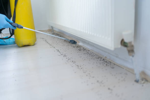 Best Pest Control Treatment  in Premont, TX