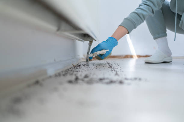 Best Exterminator Services  in Premont, TX